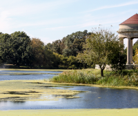 全美TOP美食市集之一!费城东南亚市场到底有多香?飞什么东南亚!让你泰老越风味一次吃个遍!
